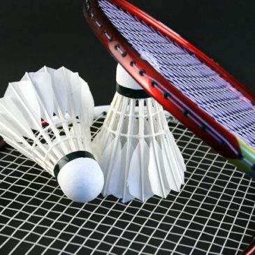 Badminton Bassin Axonais